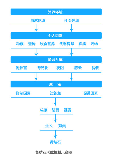 专家在线解答：肾结石患者有什么饮食禁忌?(图1)