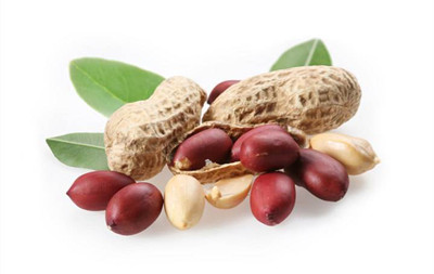 肾结石是怎么形成的(图1) 肾结石是怎么形成的(图1)