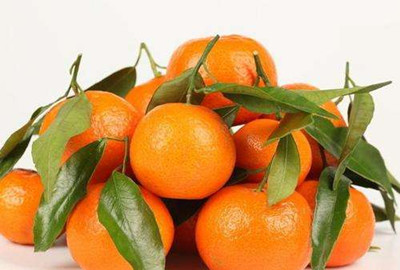 肾结石是怎么形成的(图2) 肾结石是怎么形成的(图2)