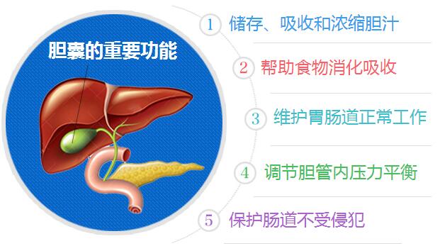 胆结石的治疗方法有哪些？该如何治疗好(图2)